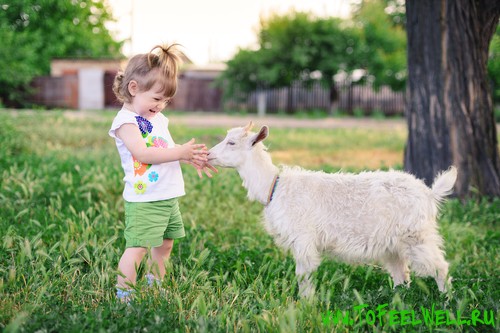 девочка и коза на траве
